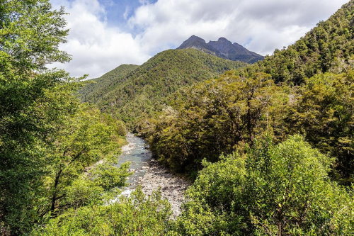 Whakanewha National Park